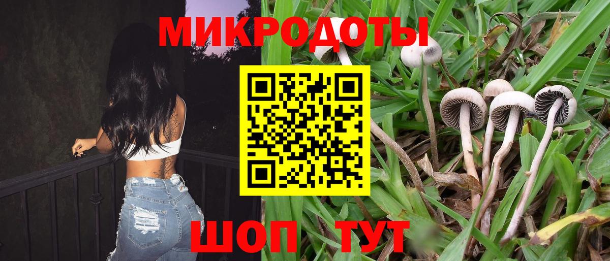 Ногинск  Псилоцибиновые грибы ЛСД  сколько стоит  Галлюциногенные грибы ЛСД  Вход с VPN 