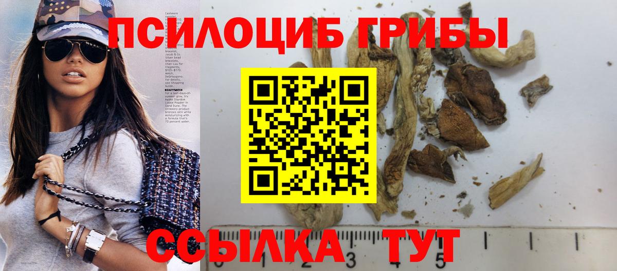 Галлюциногенные грибы Magic Shrooms Ногинск